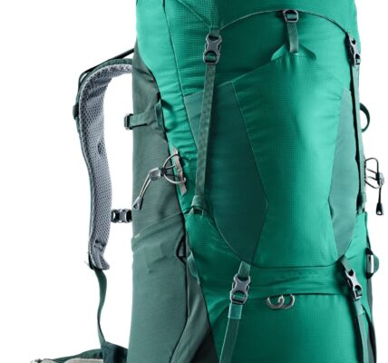 Deuter Aircontact Lite 65 + 10 Alpinegreen-forest