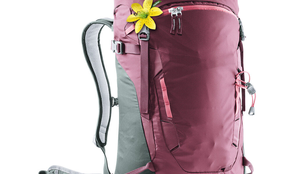 Deuter Rise Lite 26 SL Maron-ivy