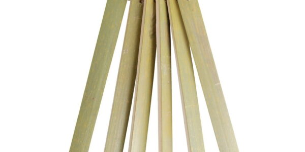 Bambusové štítky pre označenie kvetín Esschert Design Heal