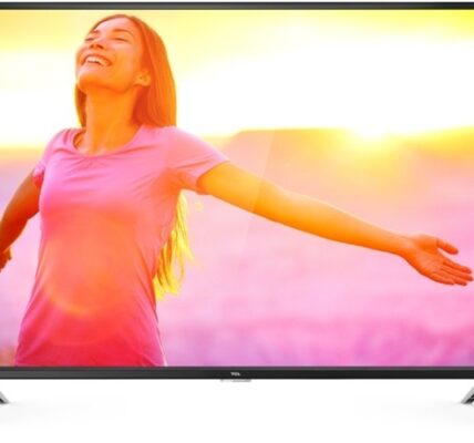 Televízor TCL 32DD420 (2018) / 32″ (81cm)