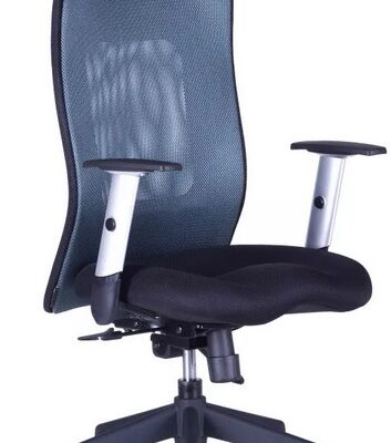 OFFICE PRO kancelárska stolička CALYPSO XL SP1