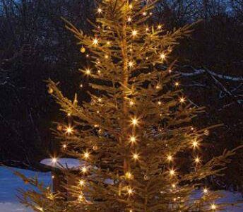 LED LED svetelný plášť na vianočný stromček Hellum vonkajšie 577891, 230 V