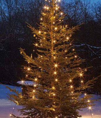LED LED svetelný plášť na vianočný stromček Hellum vonkajšie 577891, 230 V