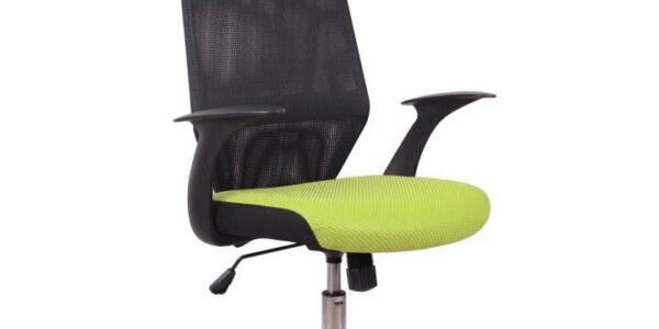 Kancelárska stolička REYES čierná / zelená