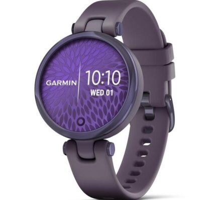 Smart hodinky Garmin Lily Sport, fialové