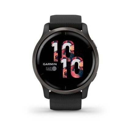 Garmin Venu 2, slate/black