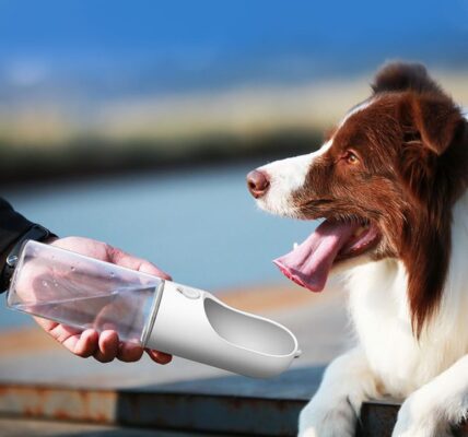 Petkit One Touch cestovní láhev pro psy 300ml