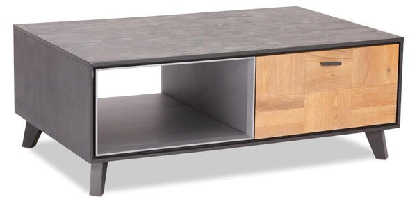Konferenčný stolík Hakon – 120x45x75 cm (hnedá, sivá)