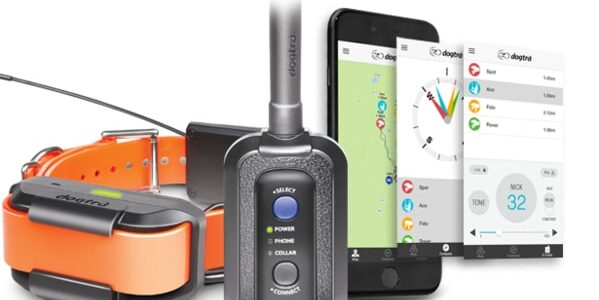 GPS a výcvikový obojok Dogtra Pathfinder – pro 3 psy