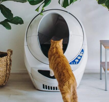 Litter-Robot III – Automatische selbstreinigende Katzentoilette