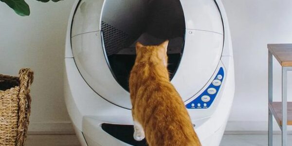 Litter-Robot III – Automatische selbstreinigende Katzentoilette