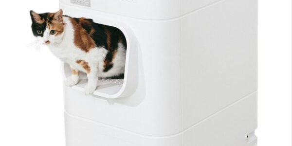 LavvieBot automatische selbstreinigende Toilette für Katzen