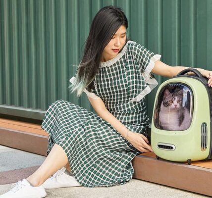 PETKIT Ever Travel Bag – Zelená