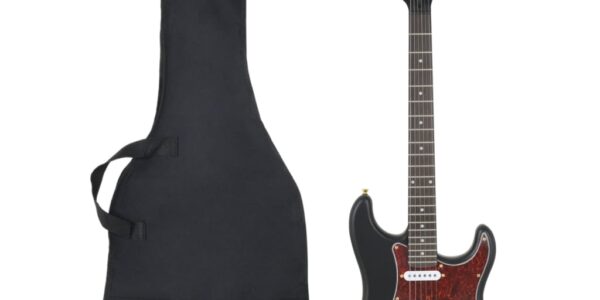 vidaXL Elektrická gitara pre začiatočníka s taškou čiernozlatá 4/4 39″