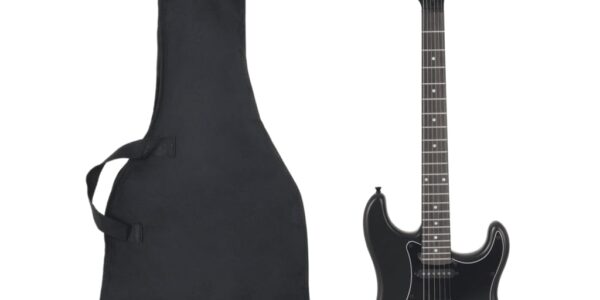 vidaXL Elektrická gitara pre začiatočníka s taškou čierna 4/4 39″