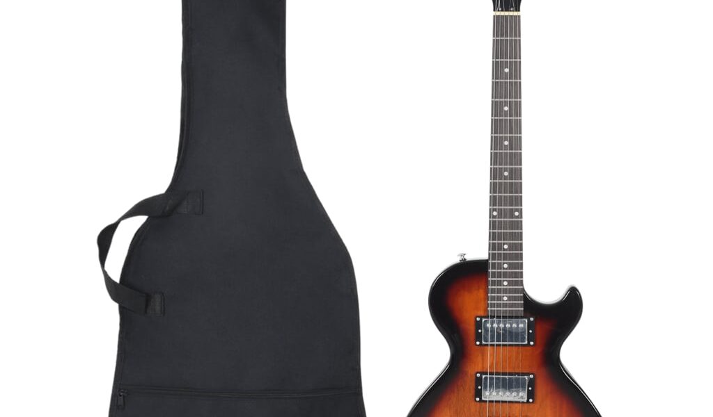 vidaXL Elektrická gitara pre začiatočníka s taškou hnedočierna 4/4 39″